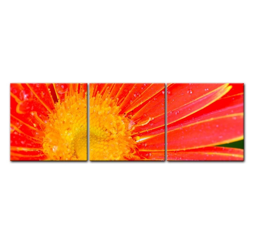 Bilderdepot24 Leinwandbild orange Gerbera, Blumen von Bilderdepot24