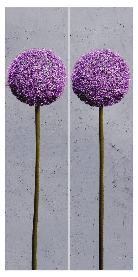 Bilderdepot24 Schiebegardine modern Flächenvorhang blickdicht Allium Kugel-Blüten, (2 St), halbtransparent, Wohnzimmer große Flächengardine lichtdurchlässig für Klemm-System von Bilderdepot24