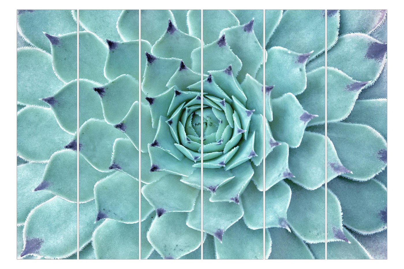 Bilderdepot24 Schiebegardine modern Flächenvorhang blickdicht Kaktus Agave, (6 St), halbtransparent, Wohnzimmer große Flächengardine lichtdurchlässig für Klemm-System von Bilderdepot24