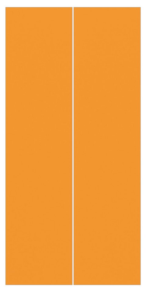 Bilderdepot24 Schiebegardine modern Flächenvorhang blickdicht Mango, (2 St), halbtransparent, Wohnzimmer große Flächengardine lichtdurchlässig als Klemm-System von Bilderdepot24