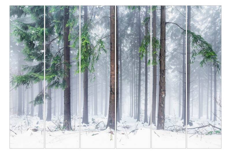 Bilderdepot24 Schiebegardine modern Flächenvorhang blickdicht Nadelbäume im Winter, (6 St), halbtransparent, Wohnzimmer große Flächengardine lichtdurchlässig als Klett-System von Bilderdepot24
