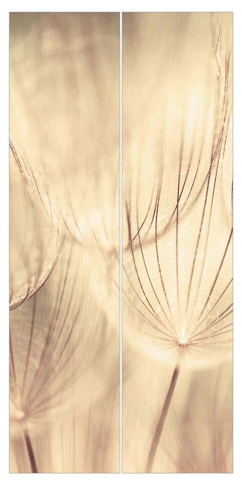 Bilderdepot24 Schiebegardine modern Flächenvorhang blickdicht Pusteblumen Sepia, (2 St), halbtransparent, Wohnzimmer große Flächengardine lichtdurchlässig für Klemm-System von Bilderdepot24