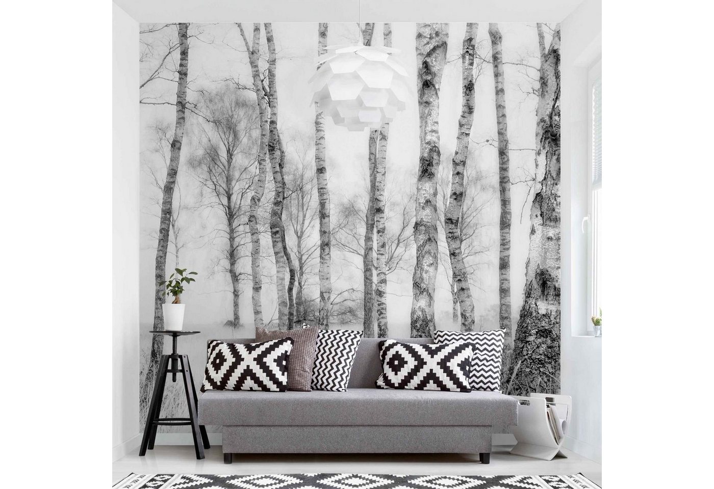 Bilderdepot24 Vliestapete Schwarz-Weiß Birkenwald Schwarz-Weiß Wald Natur Modern Wanddeko, Glatt, Matt, (Inklusive Gratis-Kleister oder selbstklebend), Wohnzimmer Schlafzimmer Küche Flur Fototapete Motivtapete Wandtapete von Bilderdepot24