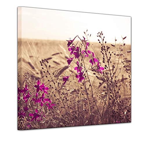 Bilderdepot24 Wandbild - Kornblumen 40x40 cm einteilig quadratisch - Leinwanddruck Wohnzimmer - Landschaftsbild Natur pink von Bilderdepot24