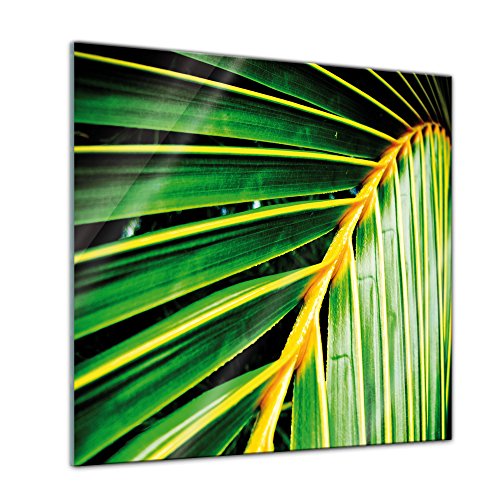 Glasbild - Palmenblatt - Malediven - 50 x 50 cm - Deko Glas - Wandbild aus Glas - Bild auf Glas - Moderne Glasbilder - Glasfoto - Echtglas - kein Acryl - Handmade von Bilderdepot24
