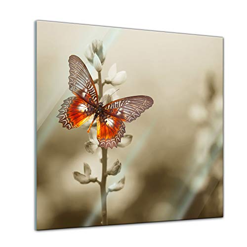 Glasbild - Roter Schmetterling auf einem Feld - 20x20 - Deko Glas - Wandbild aus Glas - Bild auf Glas - Moderne Glasbilder - Glasfoto - Echtglas - kein Acryl - Handmade von Bilderdepot24