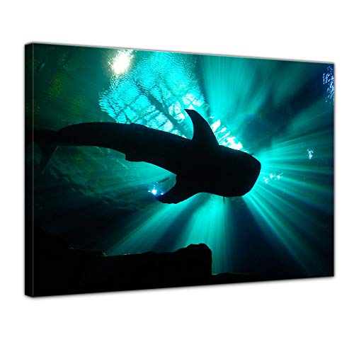 Keilrahmenbild - Hai II - Bild auf Leinwand 120 x 90 cm - Leinwandbilder Bilder als Leinwanddruck Tierbild Wildtiere - Leben im Meer von Bilderdepot24