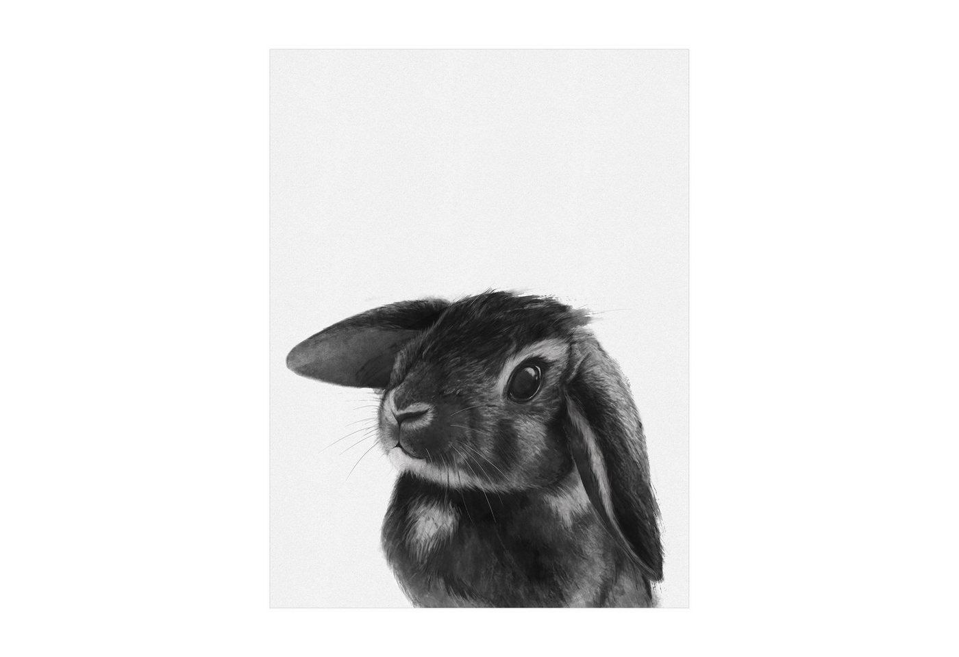 Bilderdepot24 Teppich Vinyl Kinderzimmer Tiere Hase Mädchen Jungen funktional, rechteckig - schwarz weiß glatt, nass wischbar (Saft, Tierhaare) - Saugroboter & Bodenheizung geeignet Bilderdepot24 Teppich Vinyl Kinderzimmer Tiere Hase Mädchen Jungen funktional, rechteckig - schwarz weiß glatt, nass wischbar (Saft, Tierhaare) - Saugroboter & Bodenheizung geeignet von Bilderdepot24