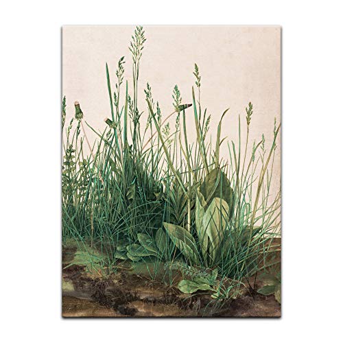 Kunstdruck Poster - Albrecht Dürer Das große Rasenstück 30x40 cm ca. A3 - Alte Meister Bild ohne Rahmen von Bilderdepot24