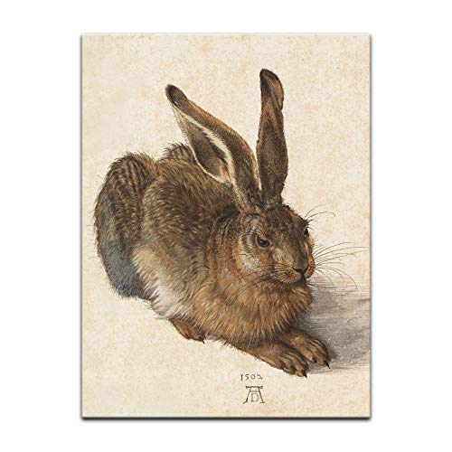 Kunstdruck Poster - Albrecht Dürer Feldhase 40x60 cm ca. A2 - Alte Meister Bild ohne Rahmen Kunstdruck Poster - Albrecht Dürer Feldhase 40x60 cm ca. A2 - Alte Meister Bild ohne Rahmen von Bilderdepot24