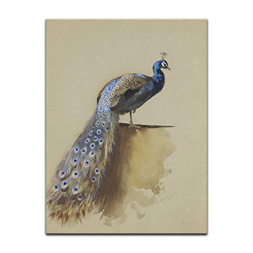 Kunstdruck Poster - Archibald Thorburn Pfau 30x40 cm ca. A3 - Alte Meister Bild ohne Rahmen Kunstdruck Poster - Archibald Thorburn Pfau 30x40 cm ca. A3 - Alte Meister Bild ohne Rahmen von Bilderdepot24