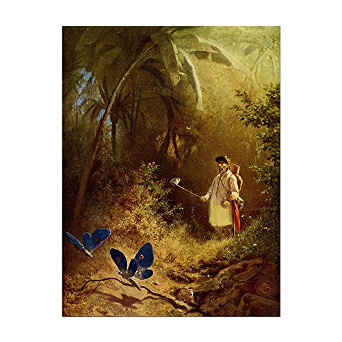 Kunstdruck Poster - Carl Spitzweg Der Schmetterlingsfänger 20x30 cm ca. A4 - Alte Meister Bild ohne Rahmen Kunstdruck Poster - Carl Spitzweg Der Schmetterlingsfänger 20x30 cm ca. A4 - Alte Meister Bild ohne Rahmen von Bilderdepot24