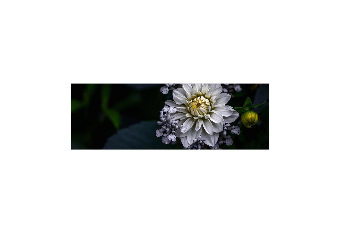 Bilderdepot24 Teppich Teppich Vinyl Flur Küche Blumen funktional lang modern, Läufer - schwarz glatt, nass wischbar (Schmutz, Tierhaare) Saugroboter & Bodenheizung geeignet von Bilderdepot24