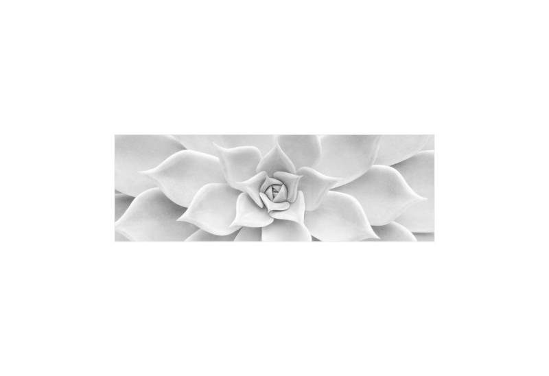 Bilderdepot24 Teppich Teppich Vinyl Flur Küche Blumen funktional lang modern, Läufer - schwarz weiß glatt, nass wischbar (Schmutz, Tierhaare) Saugroboter & Bodenheizung geeignet von Bilderdepot24