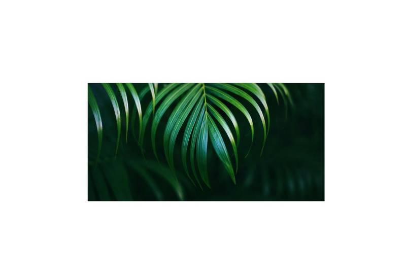 Bilderdepot24 Teppich Teppich Vinyl Flur Küche Blumen funktional lang modern, Läufer - grün glatt, nass wischbar (Schmutz, Tierhaare) Saugroboter & Bodenheizung geeignet von Bilderdepot24