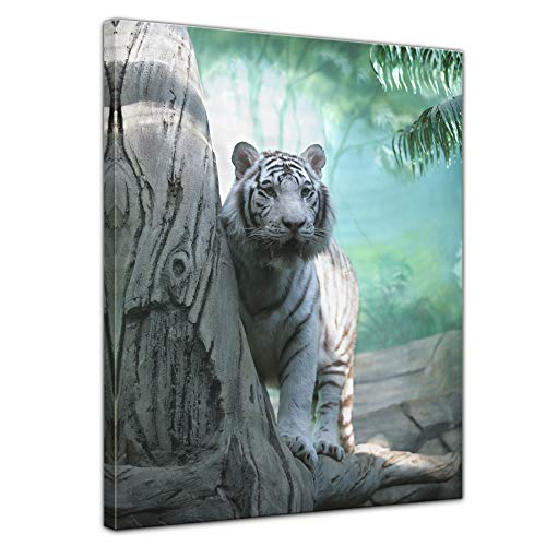 Wandbild - Indischer weisser Tiger 50x60 cm einteilig Hochkant - Leinwandbild Bild auf Leinwand - Raubkatze Wildkatze von Bilderdepot24