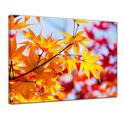 Wandbild - bunter Ahorn 40x30 cm einteilig Querformat - Leinwandbild Bild auf Leinwand - Herbst Blätter Landschaft von Bilderdepot24