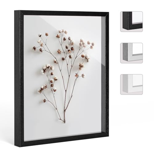 Bildershop-24 Objektrahmen FrameBox VARIO36 Schwarz (matt) 30x45cm zum Einrahmen von Trikots, Blumen, Passepartouts etc. von Bildershop-24