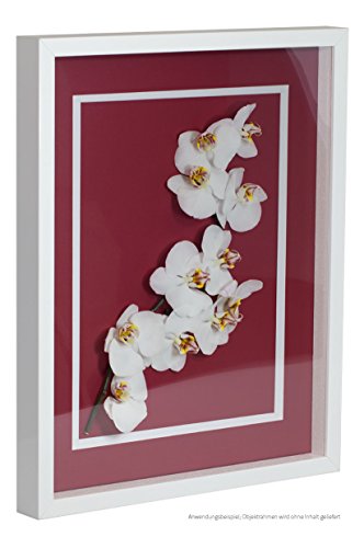 Objektrahmen FrameBox VARIO36 Weiß (matt) 21x29,7cm (DIN A4) zum Einrahmen von Trikots, Blumen, Passepartouts etc. von Bildershop-24