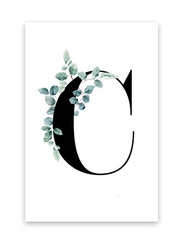 Kunstdruck Poster Bild Druck Motiv: "Buchstabe C Ranken Blätter Design" 30x40cm von Bildershop-24