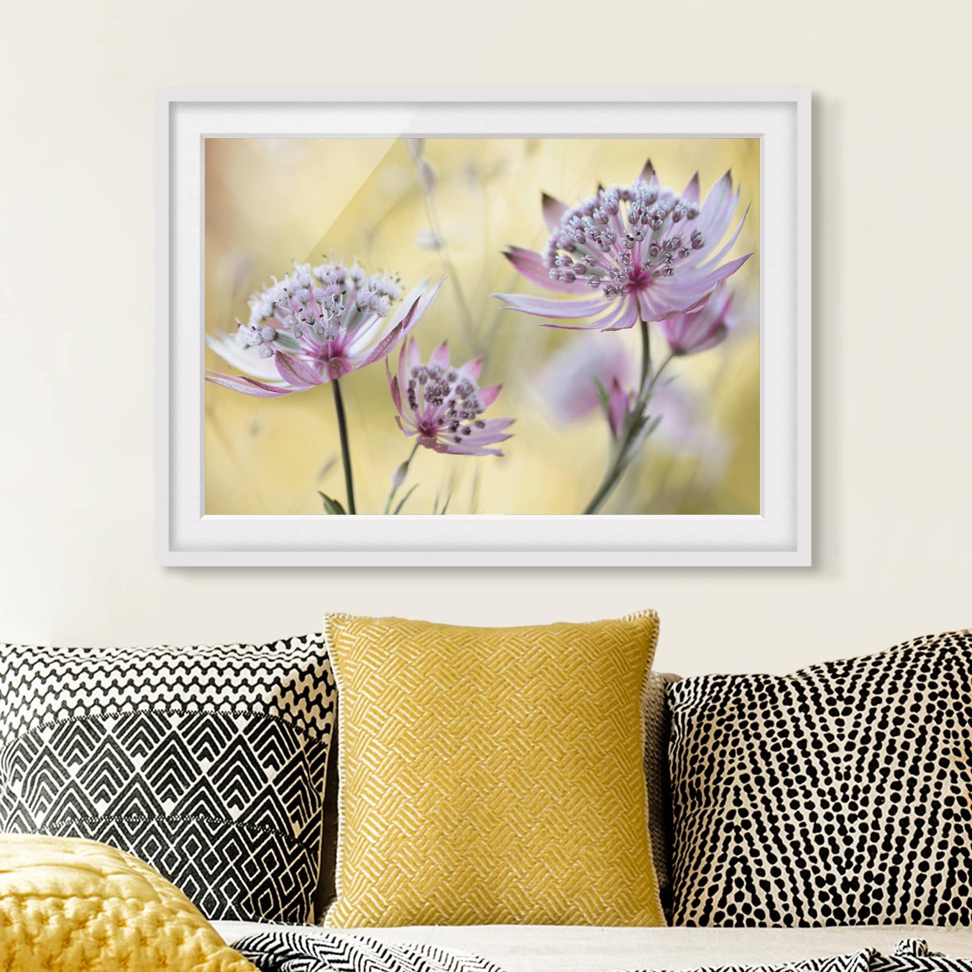 home24 Bild Astrantia Major II Teilmassivholz Kiefer, matt lackiert Violett 70 x 50cm home24 Bild Astrantia Major II Teilmassivholz Kiefer, matt lackiert Violett 70 x 50cm von home24