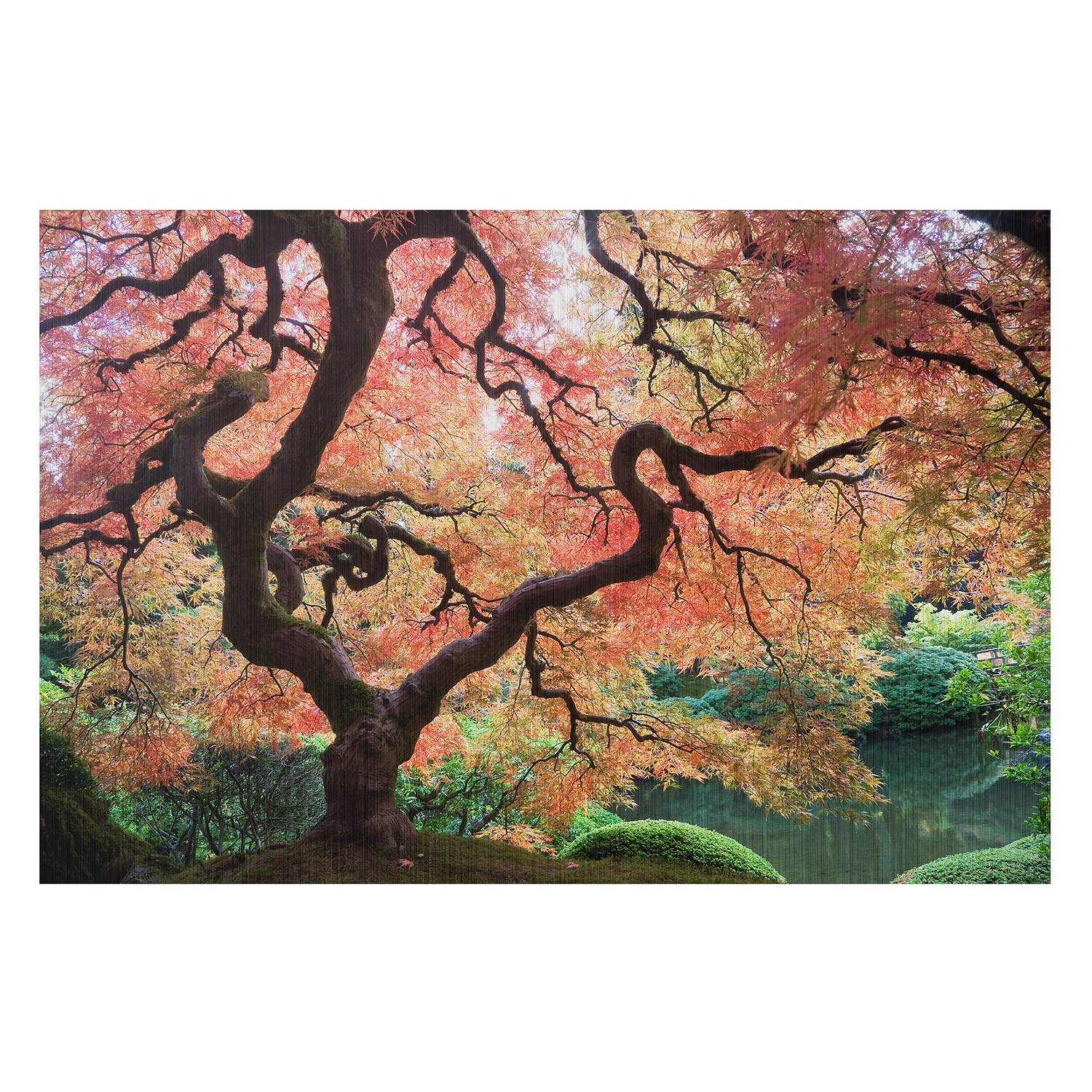 Bild Japanischer Garten III von Bilderwelten