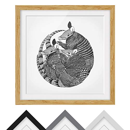 Bild gerahmt - Illustration Gürteltiere Schwarz Weiß Muster Farbe Eiche 70x70cm von Bilderwelten