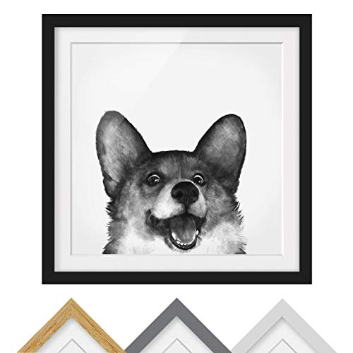 Bild gerahmt - Illustration Hund Corgi Weiß Malerei Farbe Schwarz 30 x 30cm von Bilderwelten