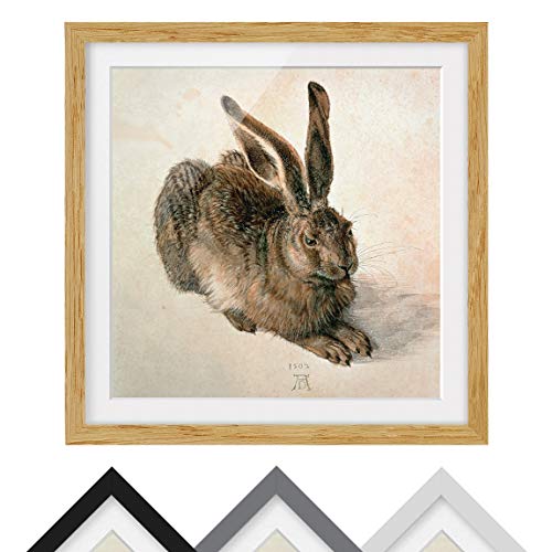 Bild mit Passepartout - A. Dürer - Junger Feldhase - Farbe Eiche 30 x 30cm Bild mit Passepartout - A. Dürer - Junger Feldhase - Farbe Eiche 30 x 30cm von Bilderwelten