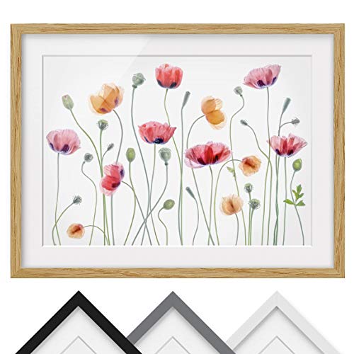 Bild mit Rahmen Echtholz - Klatschmohn Party Querformat - Farbe Eiche 50 x 70 cm von Bilderwelten