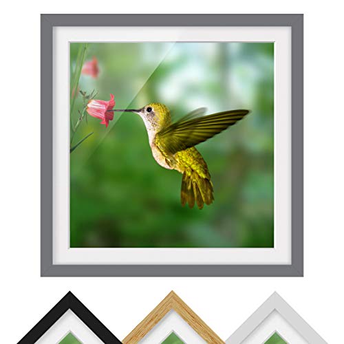 Bild mit Rahmen - Kolibri und Blüte - Rahmenfarbe Grau, 50 x 50 cm Bild mit Rahmen - Kolibri und Blüte - Rahmenfarbe Grau, 50 x 50 cm von Bilderwelten