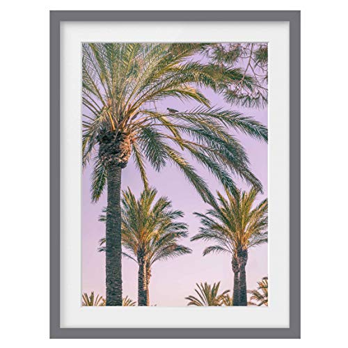 Bild mit Rahmen Palmen im Sonnenuntergang Grau mit Passepartout 55 x 40cm von Bilderwelten