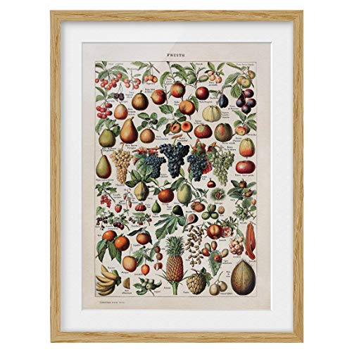 Bild mit Rahmen Vintage Lehrtafel Früchte Eiche mit Passepartout 100 x 70cm von Bilderwelten