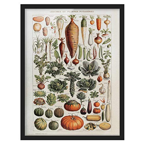 Bild mit Rahmen Vintage Lehrtafel Gemüse 100 x 70cm Schwarz ohne Passepartout von Bilderwelten