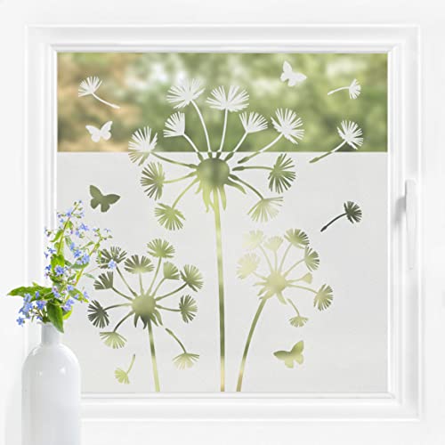 Bilderwelten Fensterfolie Sichtschutz Pusteblumen 100 x 100 cm Milchglasfolie Sichtschutzfolie Fenster Folie Blickdicht Anti-UV Statisch Haftend von Bilderwelten