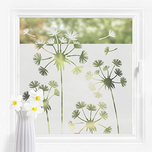 Bilderwelten Fensterfolie Sichtschutz Pusteblumen 100 x 80 cm Milchglasfolie Sichtschutzfolie Fenster Folie Blickdicht Anti-UV Statisch Haftend von Bilderwelten