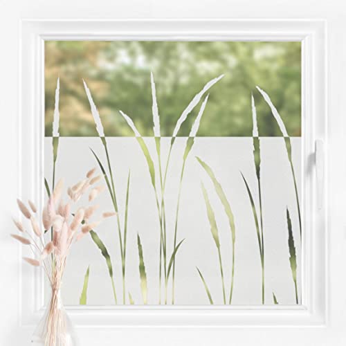 Bilderwelten Fensterfolie Sichtschutz Schilf Gräser 80 x 100 cm Milchglasfolie Sichtschutzfolie Fenster Folie Blickdicht Anti-UV Statisch Haftend Querformat von Bilderwelten