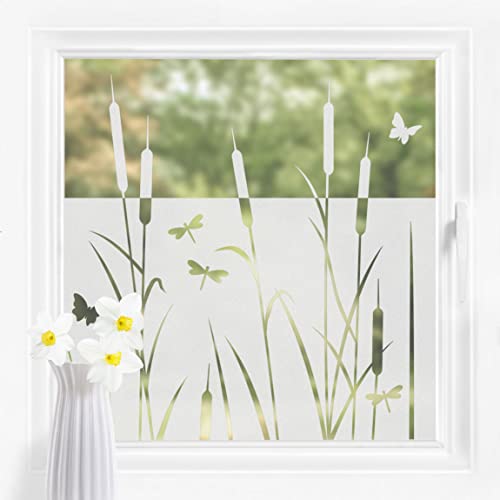 Bilderwelten Fensterfolie Sichtschutz Schilf Libellen 100 x 100 cm Milchglasfolie Sichtschutzfolie Fenster Folie Blickdicht Anti-UV Statisch Haftend Quadrat von Bilderwelten