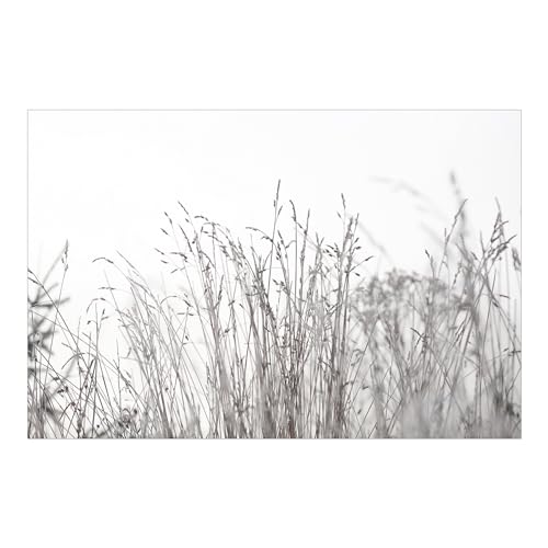 Bilderwelten Fototapete Gräser 255cm x 384cm Blumen Modern Natur Blumentapete Vliestapete Tapete Wanddeko Ideen Wohnzimmer Schlafzimmer Küche von Bilderwelten