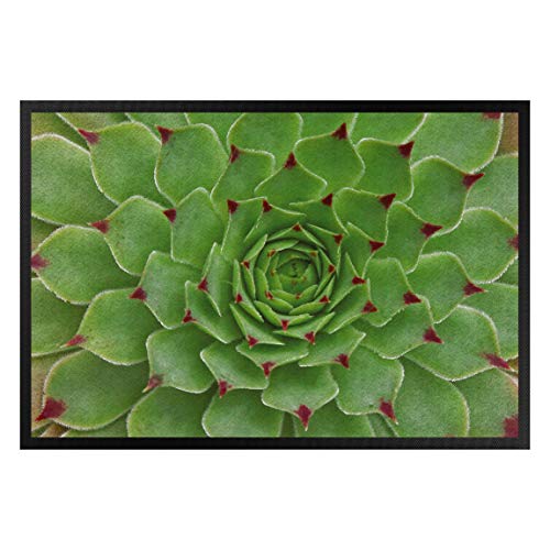 Bilderwelten Fußmatte Gummi Türvorleger Innen - Außenbereich Succulent Pattern 40 x 60 cm von Bilderwelten