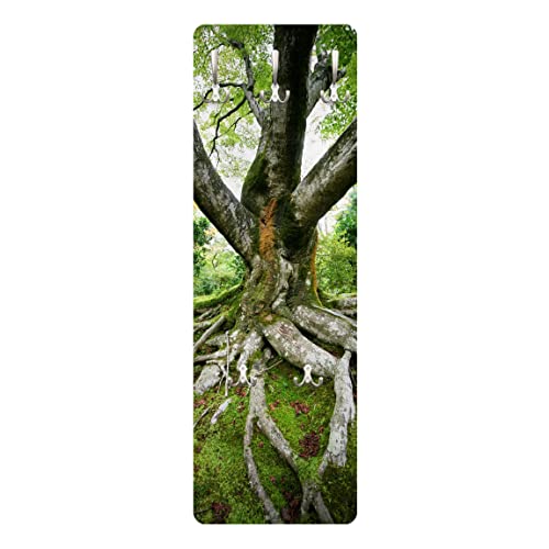 Bilderwelten Garderobe - Alter Baum - Grün, Größe HxB:119cm x 39cm von Apalis