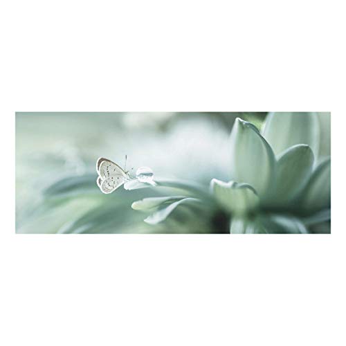 Bilderwelten Glas-Bild Echtglas - Schmetterling Tautropfen Pastellgrün - Panorama 50 x 125cm von Bilderwelten