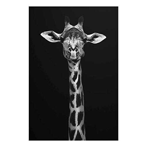 Bilderwelten Glas-Bild Echtglas Wandbild - Dunkles Giraffen Portrait - Hochformat 60 x 40 cm von Bilderwelten