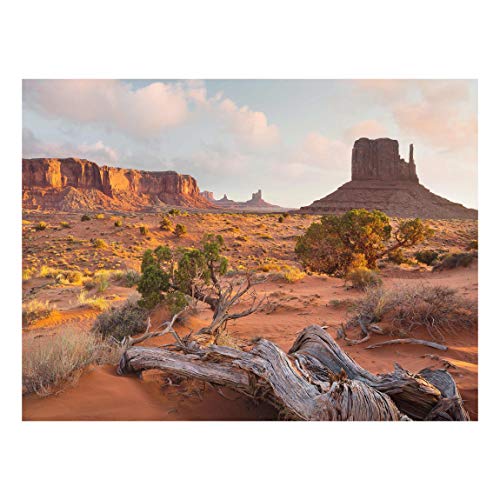 Bilderwelten Glasbild Monument Valley Navajo Park Arizona Wandbild Dekoration Glas, 75x100 cm von Bilderwelten
