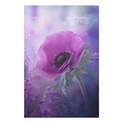 Bilderwelten Glasbild Wandbild Glas Kunstdruck Anemonenblüte in Violett 90 cm x 60 cm Bilderwelten Glasbild Wandbild Glas Kunstdruck Anemonenblüte in Violett 90 cm x 60 cm von Bilderwelten