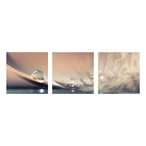 Bilderwelten Glasbild Wandbild Glas Kunstdruck Story of a Waterdrop 3X 50x50 cm Bilderwelten Glasbild Wandbild Glas Kunstdruck Story of a Waterdrop 3X 50x50 cm von Bilderwelten