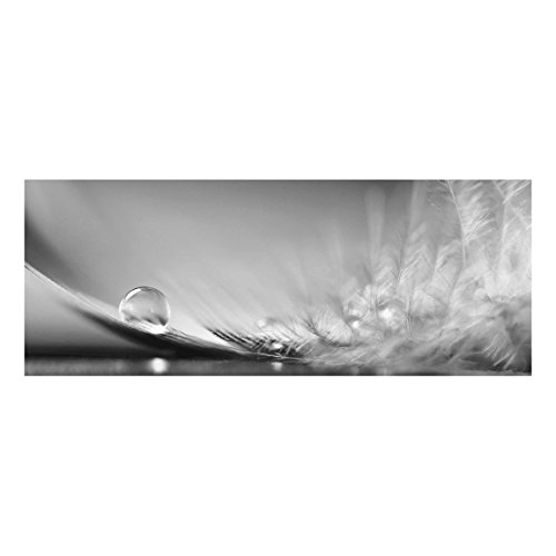 Bilderwelten Glasbild Wandbild Story of a Waterdrop Black White 50 cm x 125 cm von Bilderwelten