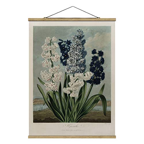 Bilderwelten Kakemono Botanik Vintage Blaue weiße Hyazinthen Hochformat 4:3 106.5x80cm Eiche von Bilderwelten