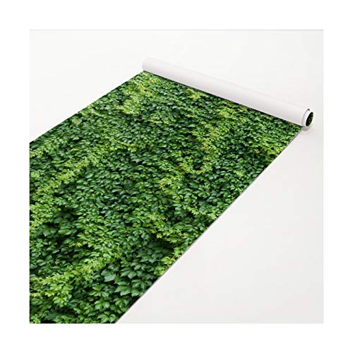 Bilderwelten Klebefolie - Efeu - 50 x 100 cm Dekorfolie Möbelaufkleber Designfolie von Bilderwelten
