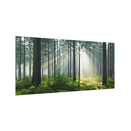Bilderwelten Küchen-Spritzschutz 59 x 120 cm Enlightened Forest Wald Wiesen Natur Rückwand von Bilderwelten